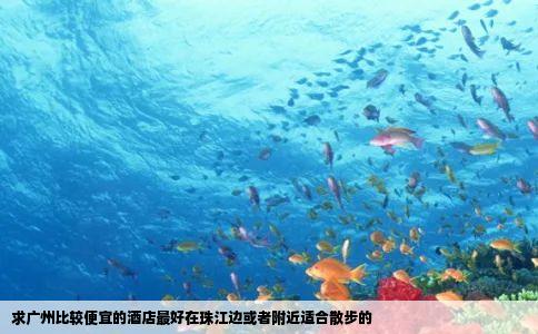 求广州比较便宜的酒店最好在珠江边或者附近适合散步的