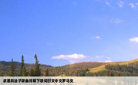 求酒井法子歌曲月明下歌词日文中文罗马文