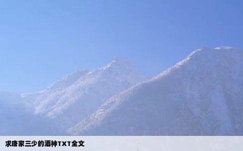 求唐家三少的酒神TXT全文