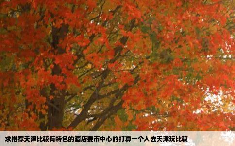 求推荐天津比较有特色的酒店要市中心的打算一个人去天津玩比较