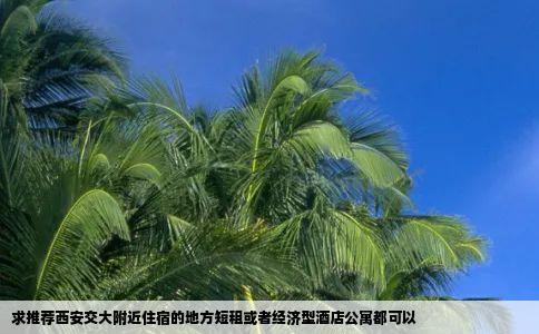 求推荐西安交大附近住宿的地方短租或者经济型酒店公寓都可以