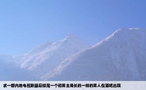 求一部内地电视剧最后结尾一个和男主角长的一样的男人在酒吧出现