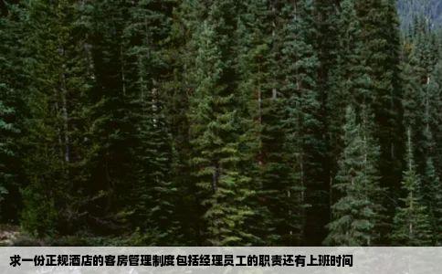 求一份正规酒店的客房管理制度包括经理员工的职责还有上班时间