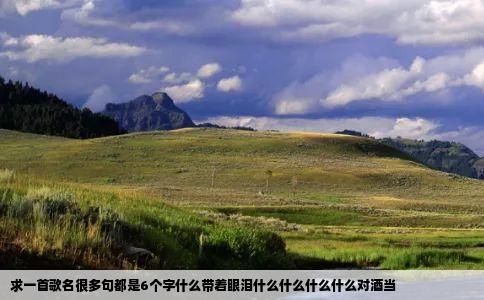 求一首歌名很多句都是6个字什么带着眼泪什么什么什么什么对酒当