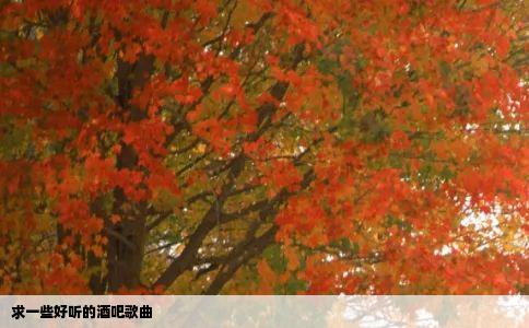 求一些好听的酒吧歌曲