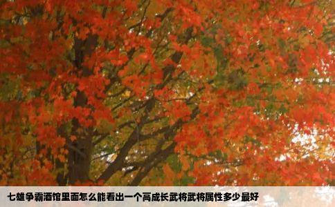 七雄争霸酒馆里面怎么能看出一个高成长武将武将属性多少最好