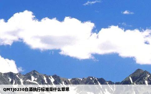 QMTJ0230白酒执行标准是什么意思