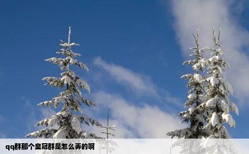 qq群那个皇冠群是怎么弄的啊