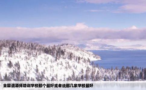 全国调酒师培训学校那个最好或者说那几家学校最好