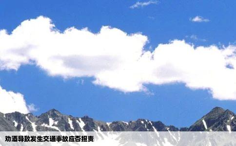 劝酒导致发生交通事故应否担责