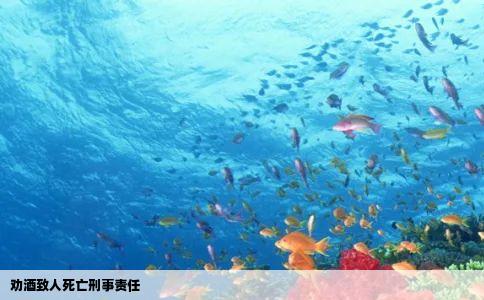 劝酒致人死亡刑事责任