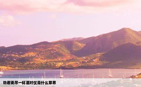 劝君更尽一杯酒对仗是什么意思