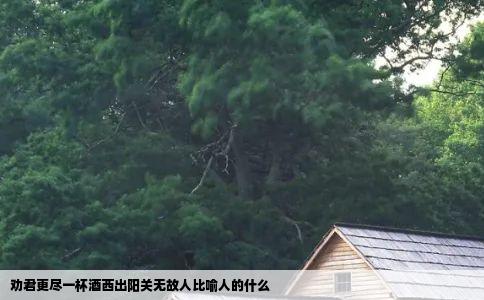 劝君更尽一杯酒西出阳关无故人比喻人的什么