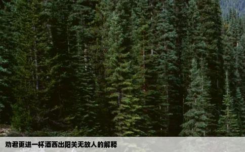 劝君更进一杯酒西出阳关无故人的解释