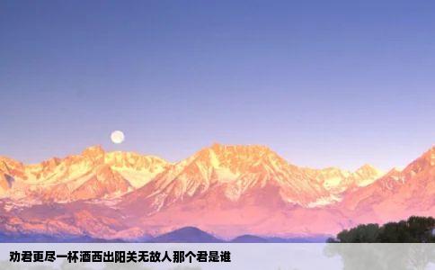 劝君更尽一杯酒西出阳关无故人那个君是谁