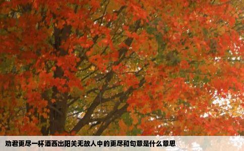 劝君更尽一杯酒西出阳关无故人中的更尽和句意是什么意思