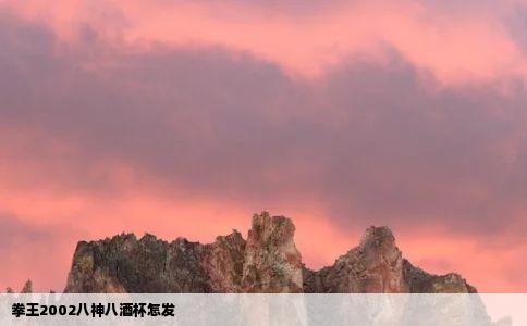 拳王2002八神八酒杯怎发