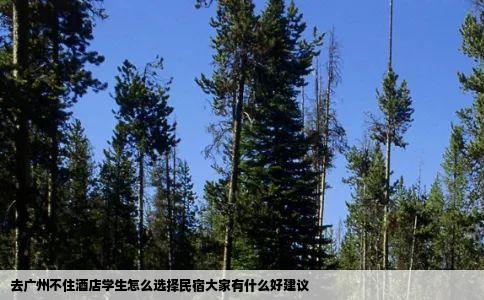 去广州不住酒店学生怎么选择民宿大家有什么好建议