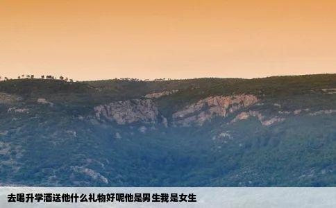 去喝升学酒送他什么礼物好呢他是男生我是女生