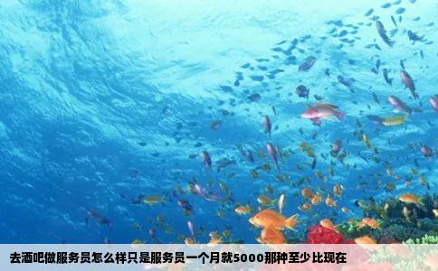 去酒吧做服务员怎么样只是服务员一个月就5000那种至少比现在
