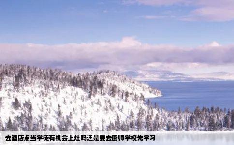 去酒店点当学徒有机会上灶吗还是要去厨师学校先学习