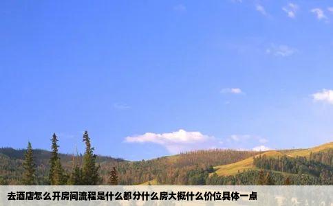 去酒店怎么开房间流程是什么都分什么房大概什么价位具体一点