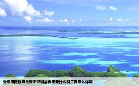 去酒店做服务员好不好啊需要学些什么啊工资怎么样呢