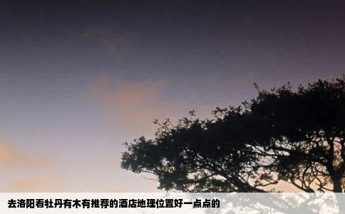 去洛阳看牡丹有木有推荐的酒店地理位置好一点点的