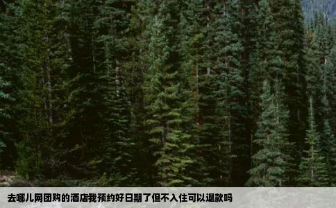 去哪儿网团购的酒店我预约好日期了但不入住可以退款吗