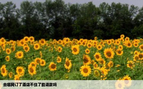 去哪网订了酒店不住了能退款吗