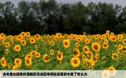 去年查出轻度的酒精肝没当回事现在发展到中度了怎么办