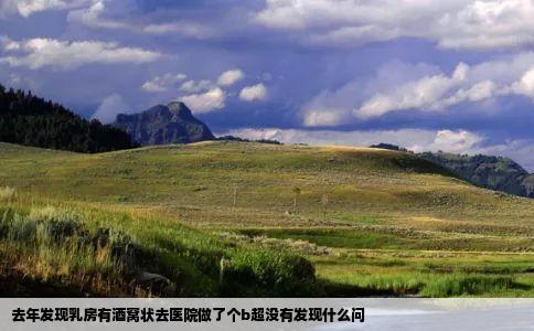 去年发现乳房有酒窝状去医院做了个b超没有发现什么问