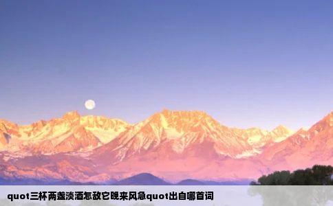 quot三杯两盏淡酒怎敌它晚来风急quot出自哪首词