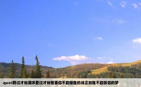 quot醉过才知酒浓爱过才知情重你不能做我的诗正如我不能做你的梦