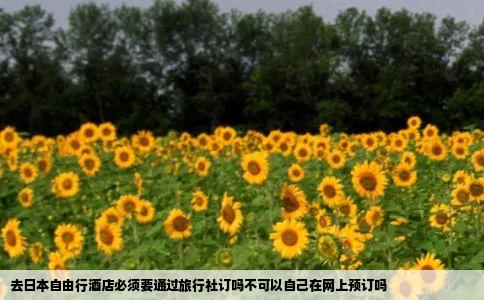 去日本自由行酒店必须要通过旅行社订吗不可以自己在网上预订吗