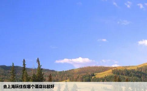 去上海玩住在哪个酒店比较好