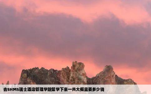 去SHMS瑞士酒店管理学院留学下来一共大概需要多少钱