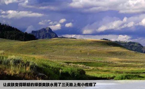 让皮肤变得明朗的绿茶爽肤水用了三天脸上有小疙瘩了