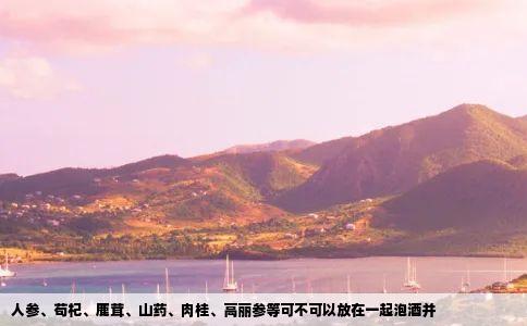人参、苟杞、鹿茸、山药、肉桂、高丽参等可不可以放在一起泡酒并