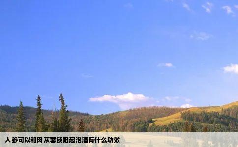 人参可以和肉苁蓉锁阳起泡酒有什么功效