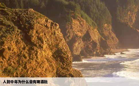 人到中年为什么会有啤酒肚