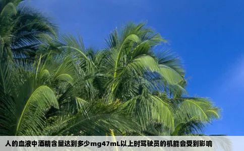人的血液中酒精含量达到多少mg47mL以上时驾驶员的机能会受到影响