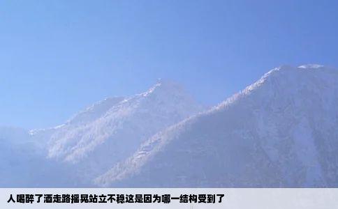 人喝醉了酒走路摇晃站立不稳这是因为哪一结构受到了