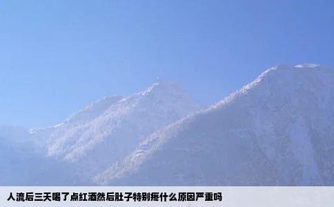 人流后三天喝了点红酒然后肚子特别疼什么原因严重吗