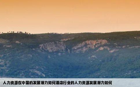 人力资源在中国的发展潜力如何酒店行业的人力资源发展潜力如何