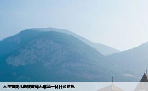 人生如戏几悲欢欲醉无非酒一杯什么意思