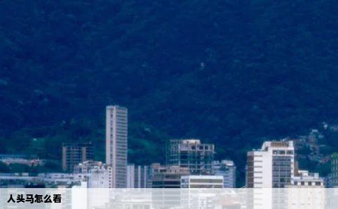 人头马怎么看