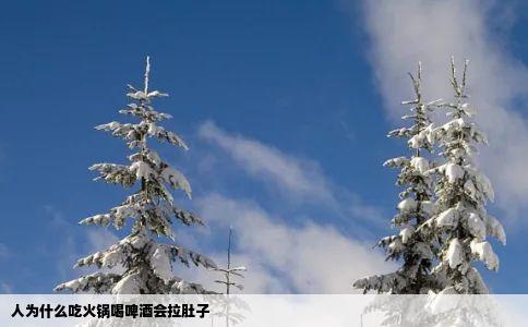 人为什么吃火锅喝啤酒会拉肚子