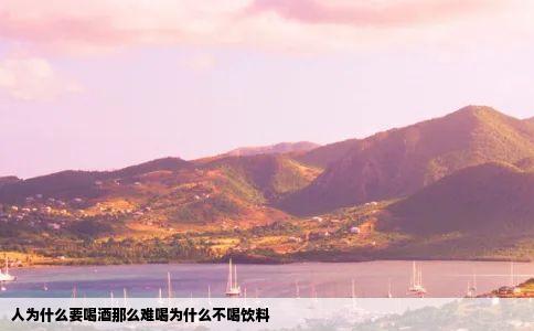 人为什么要喝酒那么难喝为什么不喝饮料