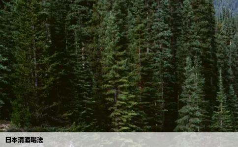 日本清酒喝法